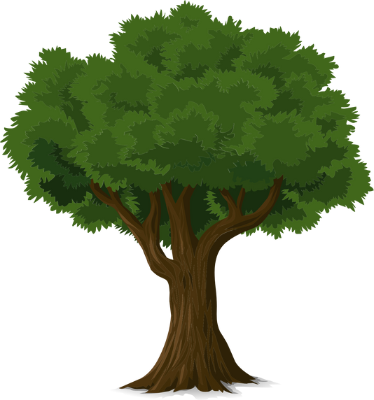 Tree Flat Illustration